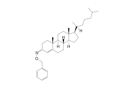 (SYN)-4-CHOLESTEN-3-O-BENZYLOXIME