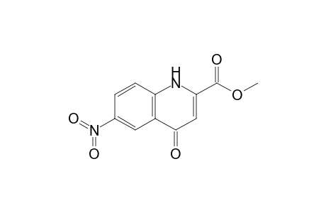Methyl 1,4-Dihydro-6-nitro-4-oxo-2-quinolinecarboxylate