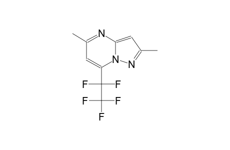 2,5-dimethyl-7-(1,1,2,2,2-pentafluoroethyl)pyrazolo[1,5-a]pyrimidine