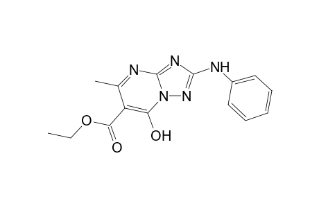 [1,2,4]triazolo[1,5-a]pyrimidine-6-carboxylic acid, 7-hydroxy-5-methyl-2-(phenylamino)-, ethyl ester