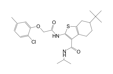 6-tert-butyl-2-{[(2-chloro-5-methylphenoxy)acetyl]amino}-N-isopropyl-4,5,6,7-tetrahydro-1-benzothiophene-3-carboxamide