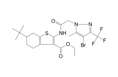 ethyl 2-({[4-bromo-5-methyl-3-(trifluoromethyl)-1H-pyrazol-1-yl]acetyl}amino)-6-tert-butyl-4,5,6,7-tetrahydro-1-benzothiophene-3-carboxylate
