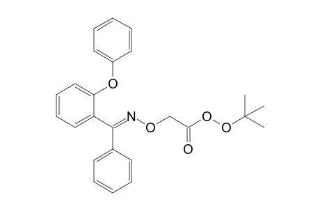 2-[(E)-[(2-phenoxyphenyl)-phenyl-methylene]amino]oxyperacetic acid tert-butyl ester