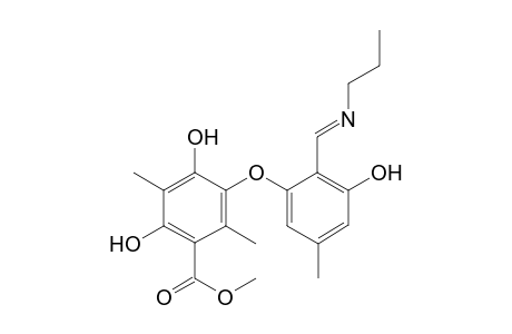 N-Propylphomosine A imine
