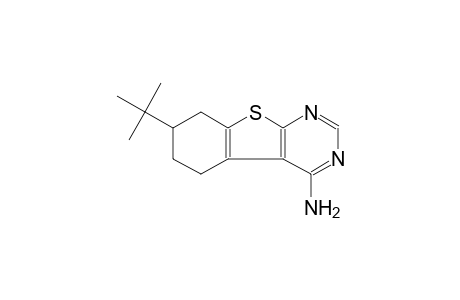 benzo[4,5]thieno[2,3-d]pyrimidin-4-amine, 7-(1,1-dimethylethyl)-5,6,7,8-tetrahydro-
