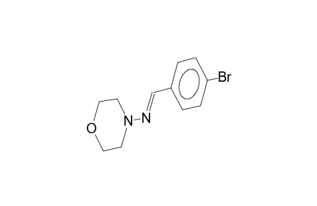 1E-(4-bromobenzylideneamino)morpholine