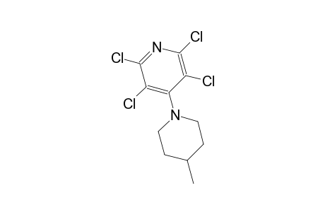 2',3',5',6'-Tetrachloro-4-methyl-3,4,5,6-tetrahydro-2H-[1,4']bipyridinyl