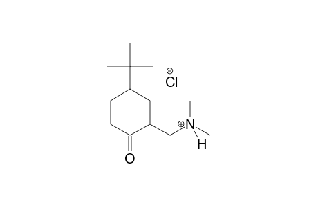 cyclohexanemethanaminium, 5-(1,1-dimethylethyl)-N,N-dimethyl-2-oxo-,chloride