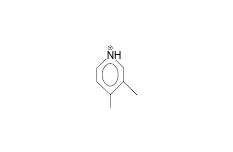 3,4-Dimethyl-pyridinium cation