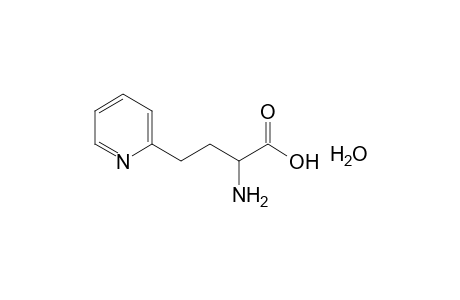 alpha-AMINO-2-PYRIDINEBUTYRIC ACID, HYDRATE