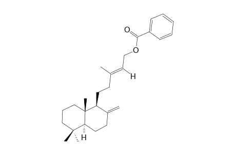 LABDA-8(17),13E-DIEN-15-YL-BENZOATE