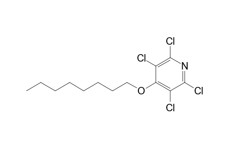 2,3,5,6-Tetrachloro-4-n-octyloxypyridine