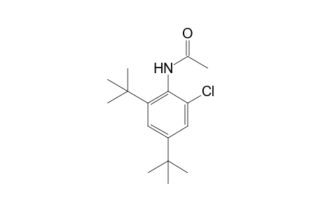 2'-chloro-4',6'-di-tert-butylacetanilide