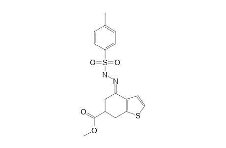 METHYL-4,5,6,7-TETRAHYDRO-4-[2-[(4-METHYLPHENYL)-SULFONYL]-2-HYDRAZINYL-1-YLIDEN]-6-BENZO-[B]-THIOPHENE-CARBOXYLATE