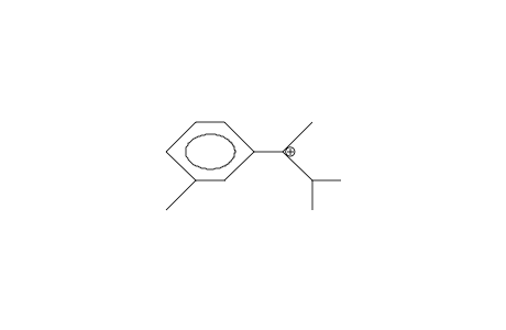 2-(3-Tolyl)-3-methyl-2-butylium cation