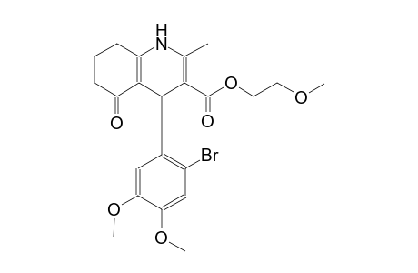 2-Methoxyethyl 4-(2-bromo-4,5-dimethoxyphenyl)-2-methyl-5-oxo-1,4,5,6,7,8-hexahydro-3-quinolinecarboxylate