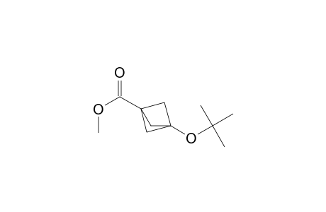 Bicyclo[1.1.1]pentane-1-carboxylic acid, 3-(1,1-dimethylethoxy)-, methyl ester