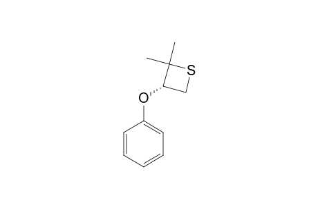 2,2-DIMETHYL-3-PHENOXYTHIETANE