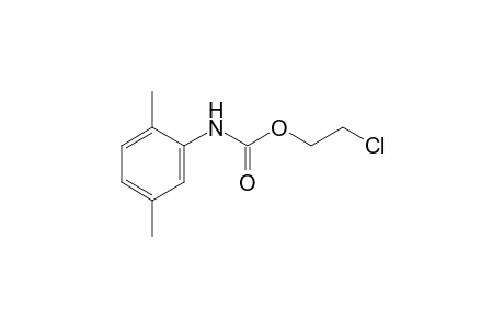 2,5-dimethylcarbanilic acid, 2-chloroethyl ester