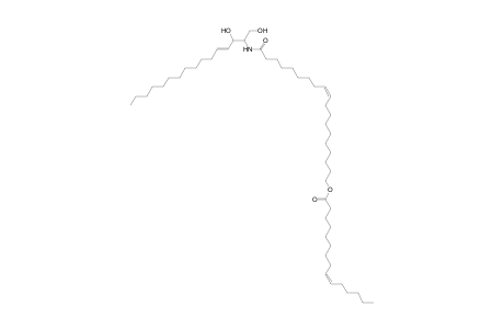 Cer 16:1;2O/19:1;O(FA 15:1)