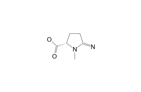 (-)-(5S)-2-IMINO-1-METHYLPYRROLIDINE-5-CARBOXYLIC-ACID;SYNTHETIC