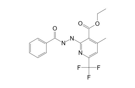 2-(N'-(benzoyl)hydrazino)-4-methyl-6-(trifluoromethyl)nicotinic acid ethyl ester