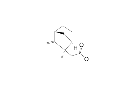 EXO-(2-METHYL-3-METHYENELBICYClO-[2.2.1]-HEPTANE)-2-ACETIC-ACID