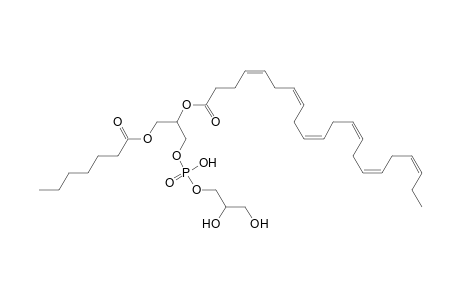 PG 7:0_22:6