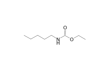 Carbamic acid, pentyl-, ethyl ester