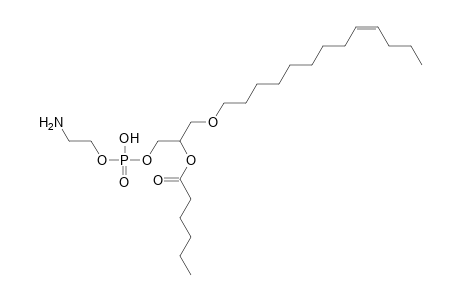 PE O-13:1_6:0