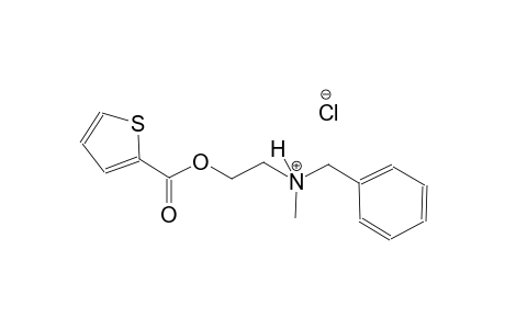 N-benzyl-N-methyl-2-[(2-thienylcarbonyl)oxy]ethanaminium chloride