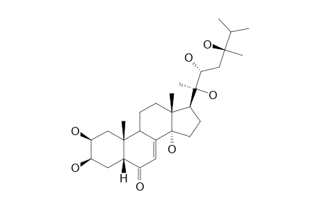 PANUOSTERONE;2-BETA,3-BETA,14-ALPHA,20R,22R,24R-HEXAHYDROXY-5-BETA-ERGOST-7-EN-6-ONE