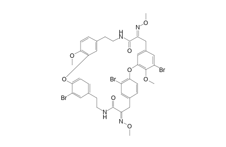 (12E,25E)-16,21,33-tribromo-4,17-dimethoxy-12,25-bis(methoxyimino)-2,19-dioxa-10,27-diazapentacyclo[28.2.2.2(20,23).1(3,7).1(14,18)]octatriaconta-1(32),3,5,7(38),14(37),15,17,20,22,30,33,35-dodecaene-11,26-dione