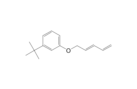3-t-butylphenyl 2,4-pentadienyl ether