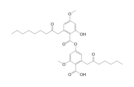 4-[2'-hydroxy-4'-methoxy-6'-(2''-oxononyl)benzoyloxy]-2-methoxy-6-(2-oxoheptyl)benzoic acid