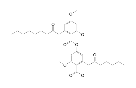 4-[2'-hydroxy-4'-methoxy-6'-(2''-oxononyl)benzoyloxy]-2-methoxy-6-(2-oxoheptyl)benzoic acid