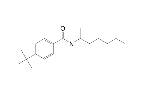 Benzamide, 4-(tert-butyl)-N-hept-2-yl-