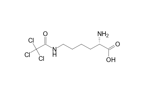 6-[(Trichloroacetyl)amino]-2-aminohexanoic Acid