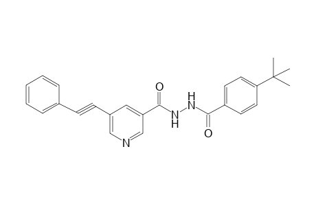 N'-(4-tert-Butylbenzoyl)-5-(phenylethynyl)nicotinohydrazide