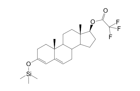 Testosterone 3,5-dienol, O17-TFA, O3-TMS
