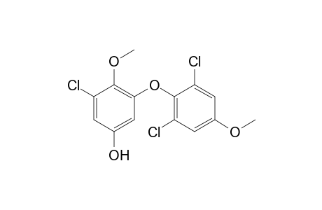 Russuphelin E [2-(2,6-Dichloro-4-hydroxyphenyloxy)-6-chloro-4-hydroxy-1-methoxybenzene]