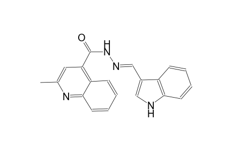 N'-[(E)-1H-indol-3-ylmethylidene]-2-methyl-4-quinolinecarbohydrazide
