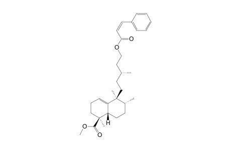 METHYL-15-Z-CINNAMOYLOXY-1(10)-ENT-HALIMEN-18-OATE