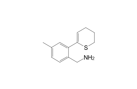 [2-(5,6-Dihydro-4H-thiopyran-2-yl)-4-methylphenyl]methylamine