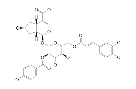 2'-O-PARA-HYDROXYBENZOYL-6'-O-TRANS-CAFFEOYL-8-EPILOGANIC-ACID