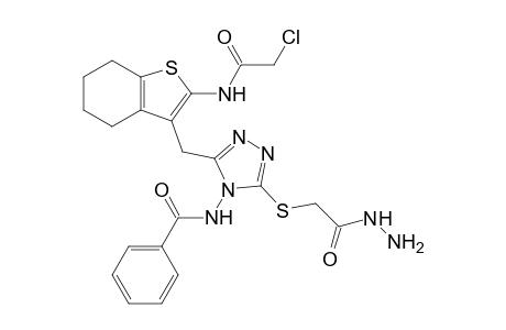 N-{3-[2-(2-Chloro-acetylamino)-4,5, 6,7-tetrahydro-benzo[b]thiophen-3-ylmethyl]-5-hydrazinocarbonylmethylsulfanyl-[1,2,4]triazol-4-yl}-benzamide