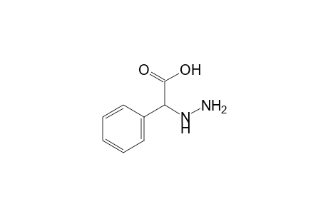 hydrazinophenylacetic acid