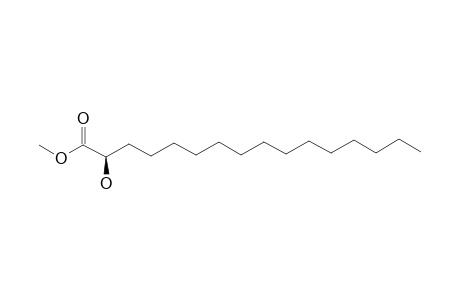 (2R)-2-HYDROXYHEXADECANOIC-ACID