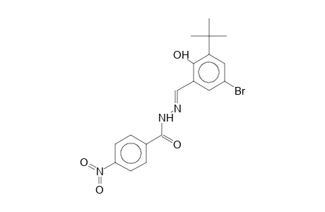 N'-[(E)-(5-Bromo-3-tert-butyl-2-hydroxyphenyl)methylidene]-4-nitrobenzohydrazide