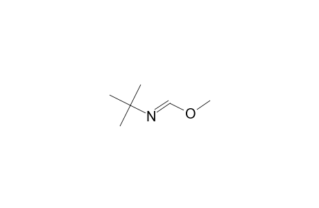 Methyl (Z)-1,1-dimethylethylimidoformate